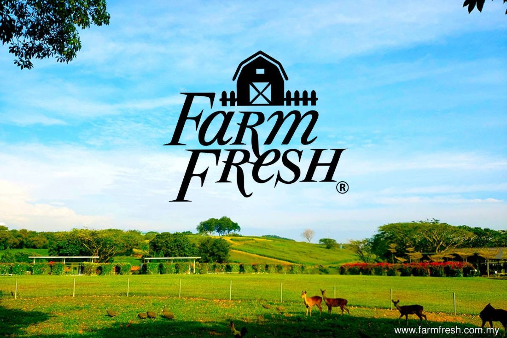 Farm Fresh Malaysia: Mum2Mum Hi-Tea Promotion: FREE Hi Tea, Farm Entry & Activities for Mums and Kids!
